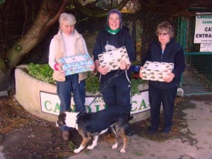 Lothian Dogs Home boxes delivered