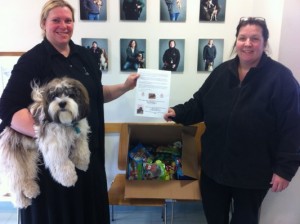 Hug delivered to Edinburgh Dog & Cat Home